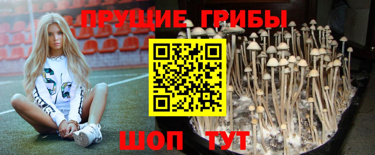 Галлюциногенные грибы ЛСД  Вход с VPN  Нефтекумск 