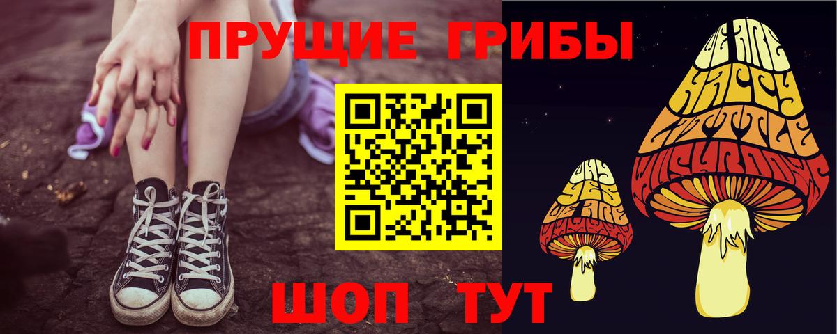 Псилоцибиновые грибы GOLDEN TEACHER Нефтекумск
